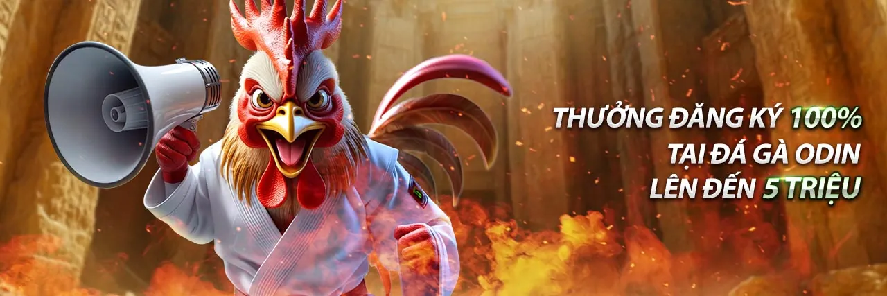 Sân vận động với ánh đèn rực rỡ, biểu tượng cho cá cược thể thao đỉnh cao tại 333win3 đăng nhập